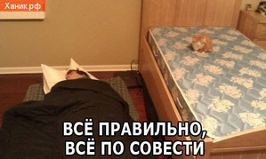 фотография: Славянские кошачьи имена фото: Славянские кошачьи имена