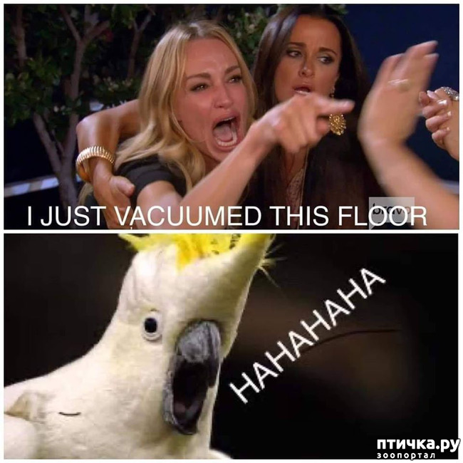 ���� 1: FB: ������� ������/� ������ ������������� ���� ���