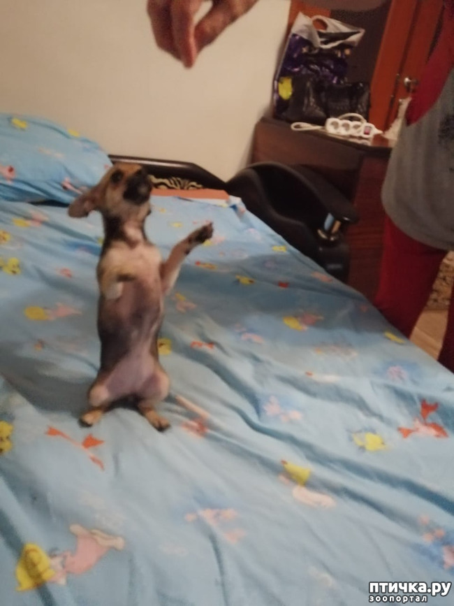 ���� 4: ������� � ����������!