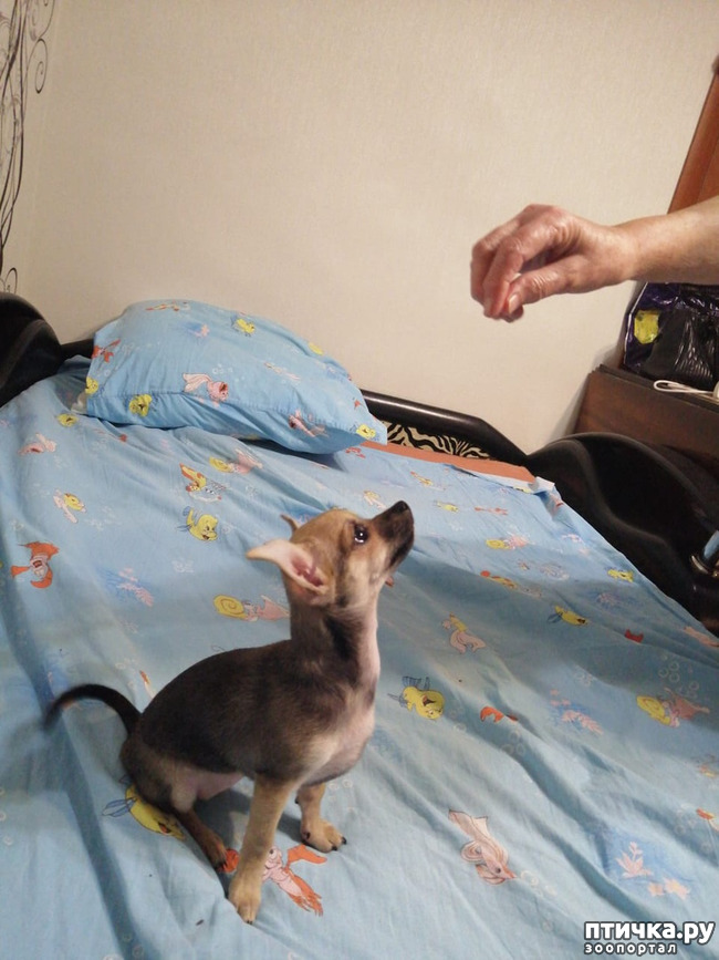 ���� 5: ������� � ����������!