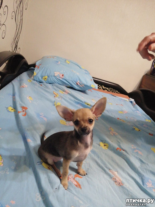 ���� 6: ������� � ����������!