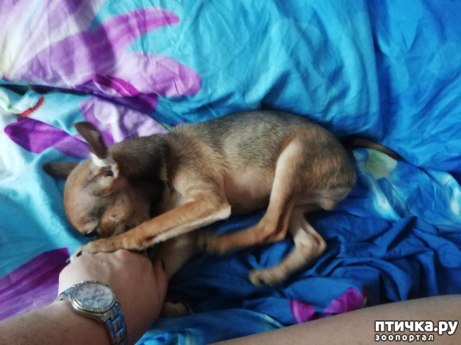 ���� 7: ������� � ����������!