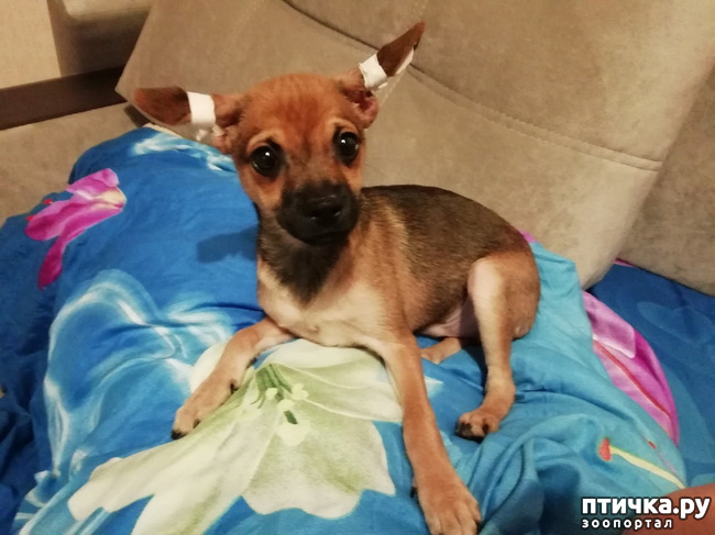 ���� 8: ������� � ����������!