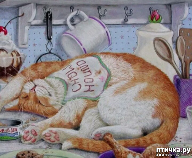 ���� 3: ������� ���� (�� ������)