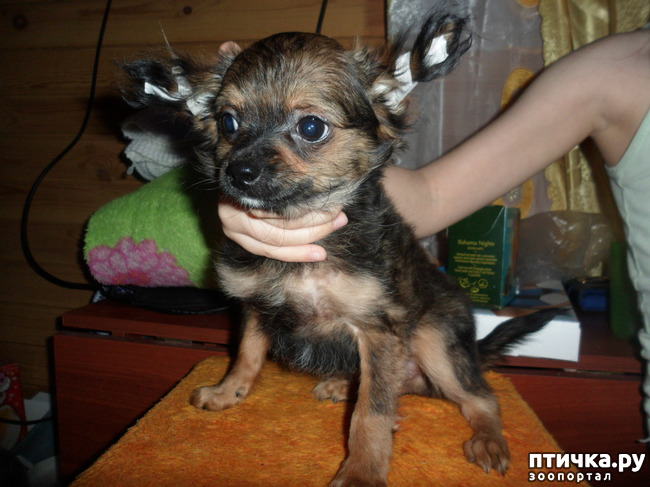 ���� 9: ������� � ����������!