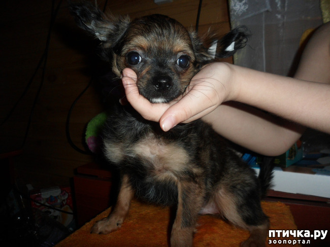 ���� 10: ������� � ����������!