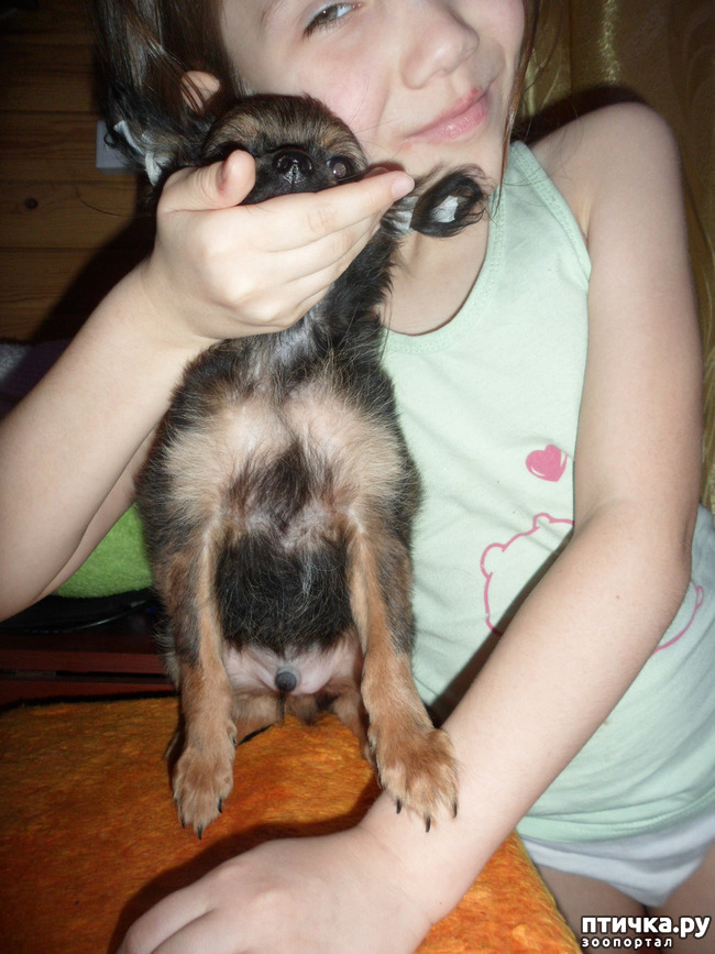 ���� 11: ������� � ����������!