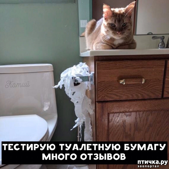 ���� 2: ������ �� �������