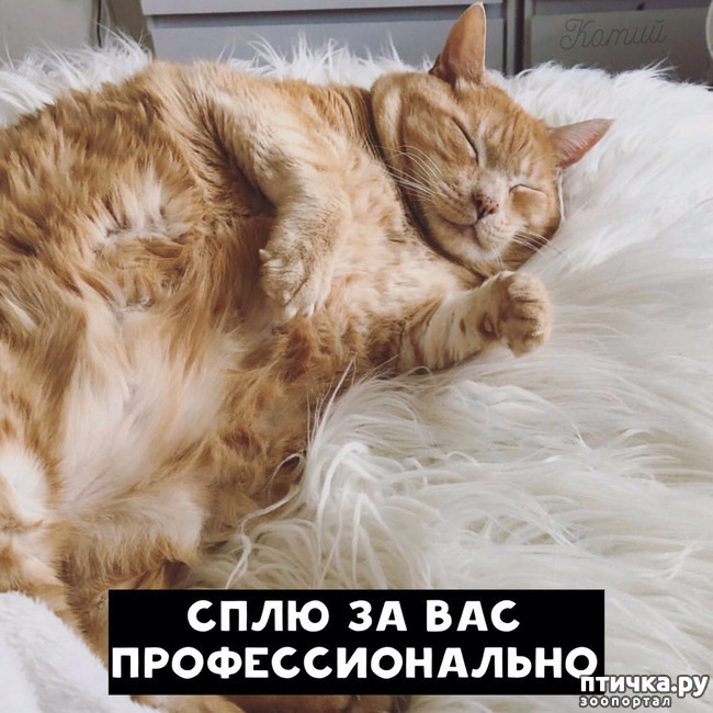 ���� 3: ������ �� �������