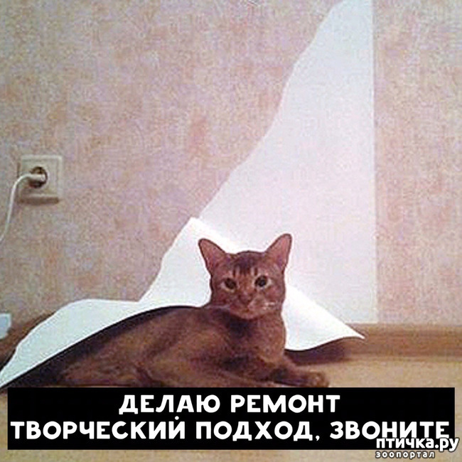 ���� 4: ������ �� �������