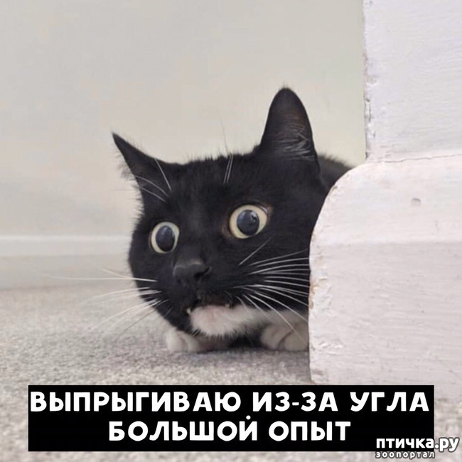 ���� 5: ������ �� �������