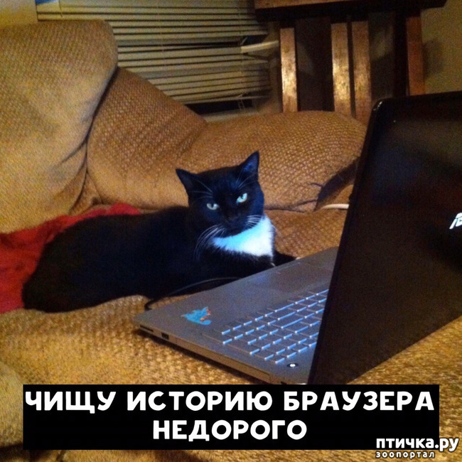 ���� 6: ������ �� �������