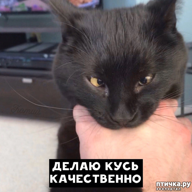 ���� 7: ������ �� �������