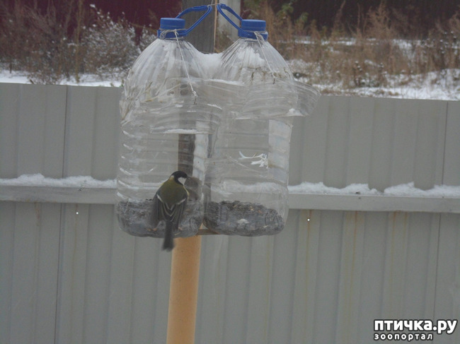 ���� 1: ��� �� ������ �������������