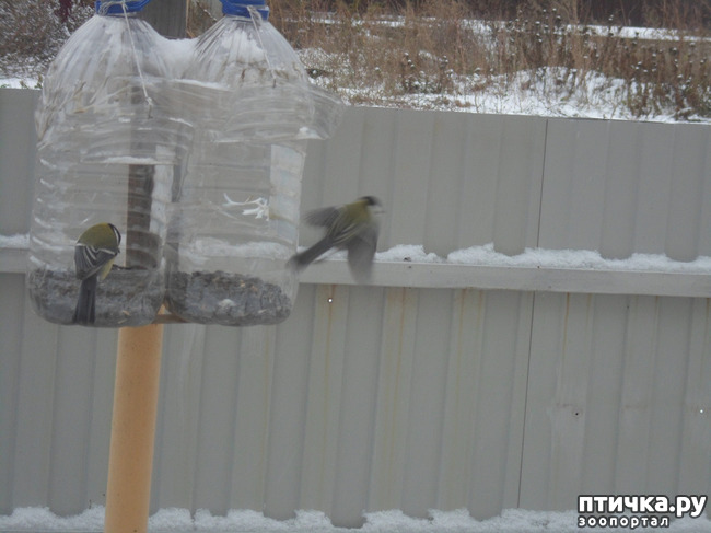 ���� 2: ��� �� ������ �������������