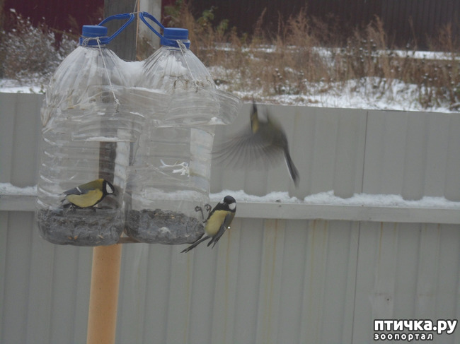 ���� 3: ��� �� ������ �������������