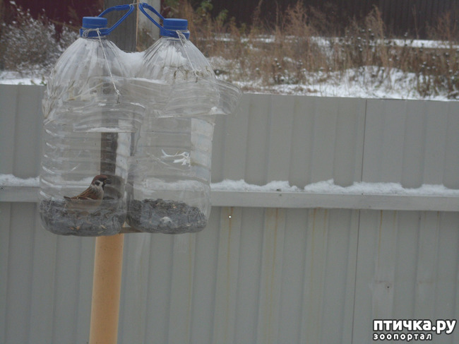 ���� 6: ��� �� ������ �������������