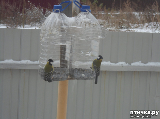 ���� 4: ��� �� ������ �������������