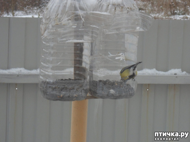 ���� 5: ��� �� ������ �������������