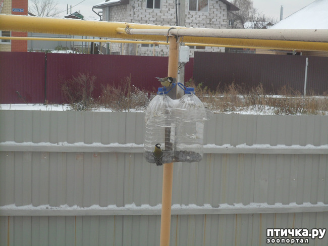 ���� 7: ��� �� ������ �������������