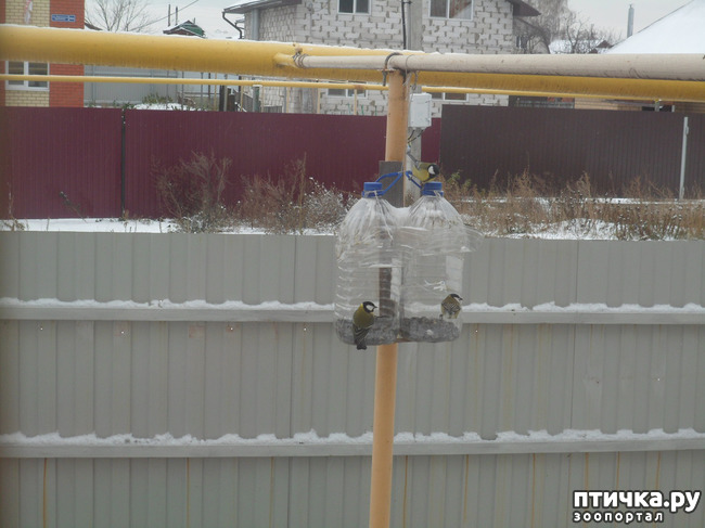 ���� 8: ��� �� ������ �������������