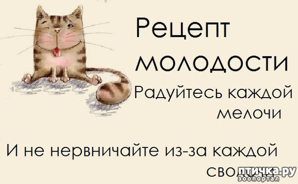 ���� 2: ������� ���������� �����������.