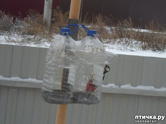 ���� 9: ��� �� ������ �������������