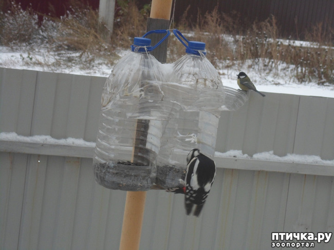 ���� 10: ��� �� ������ �������������