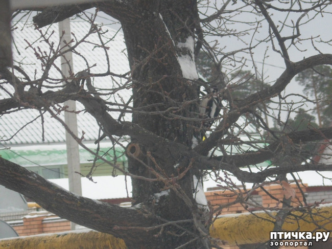 ���� 11: ��� �� ������ �������������