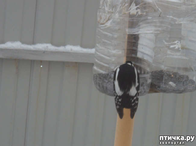 ���� 12: ��� �� ������ �������������