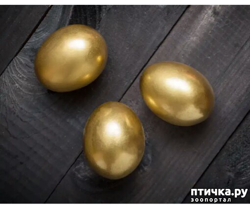 ���� 2: ������� ���� (�� ������)