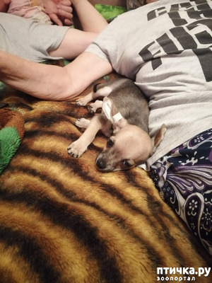 фотография: Новости о кабачатках! фото: Новости о кабачатках!