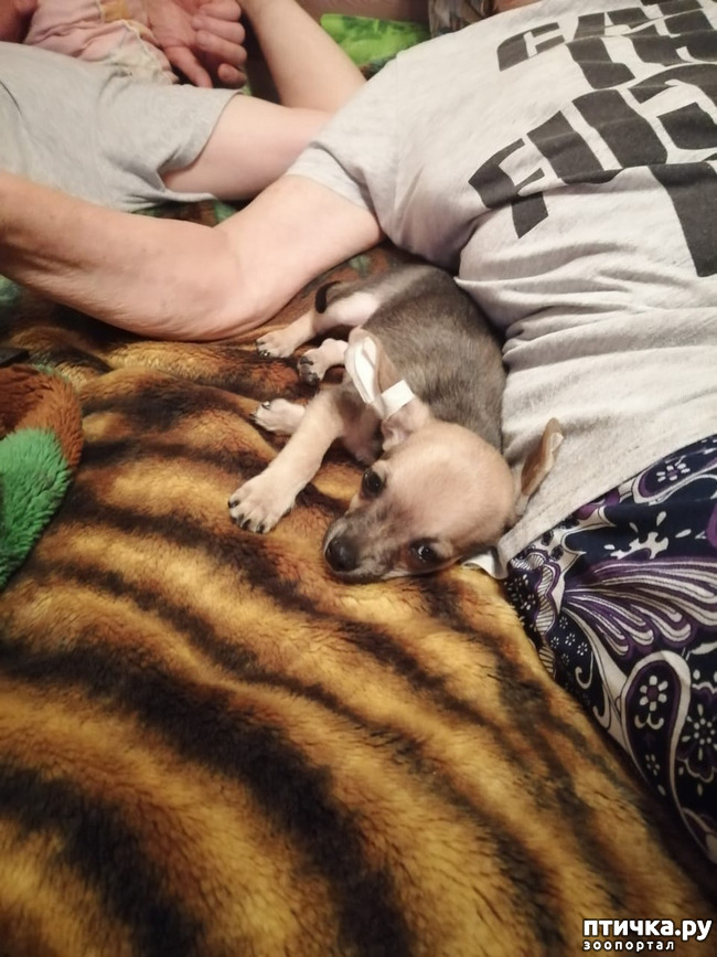 ���� 1: ������� � ����������!