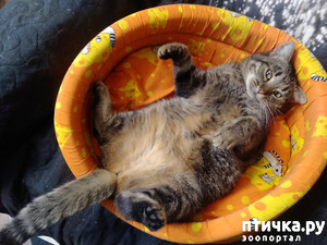 фотография: Трикотаж. фото: Трикотаж.