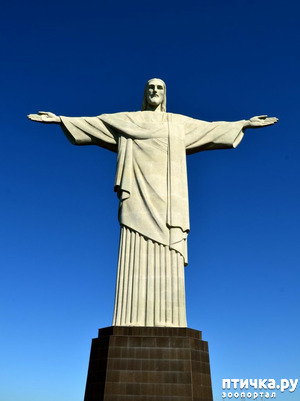 фотография: Португалия. К последнему морю! фото: Португалия. К последнему морю!