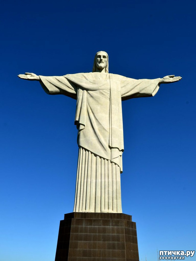 ���� 1: ����������. � ���������� ����!