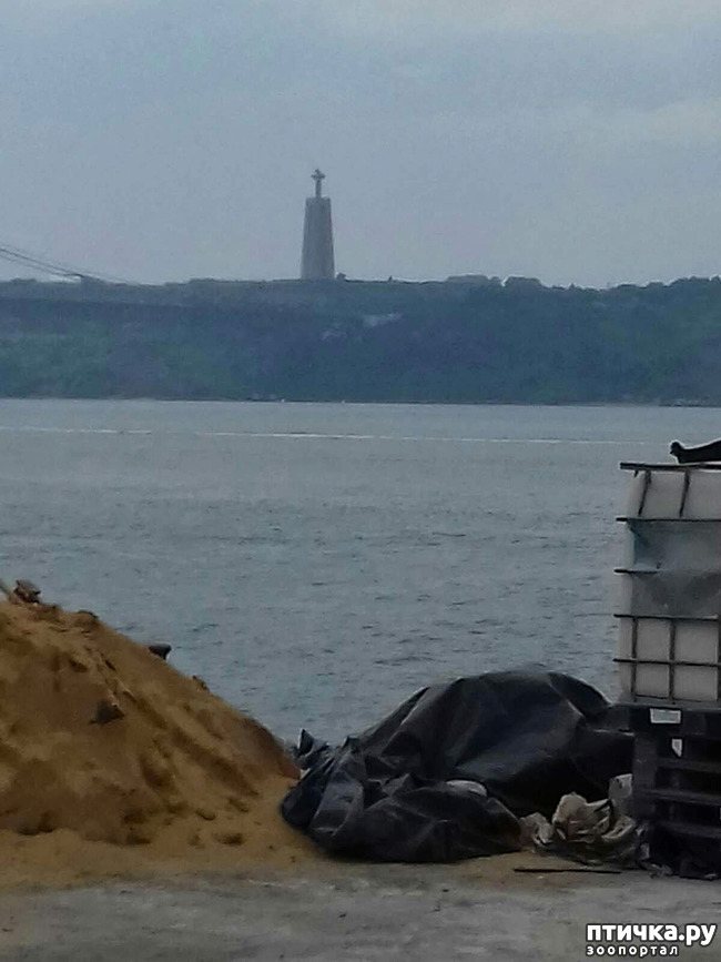 ���� 3: ����������. � ���������� ����!