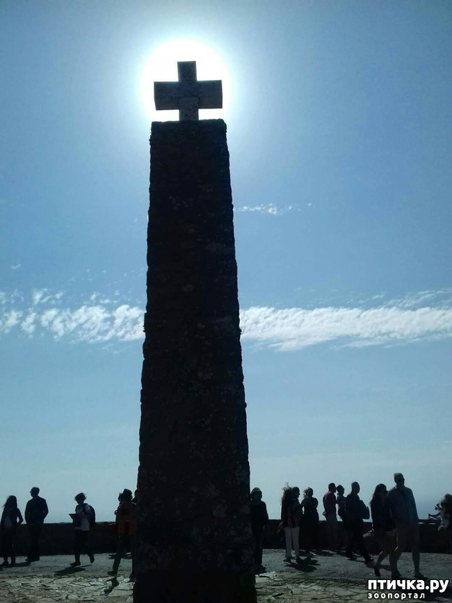 ���� 4: ����������. � ���������� ����!