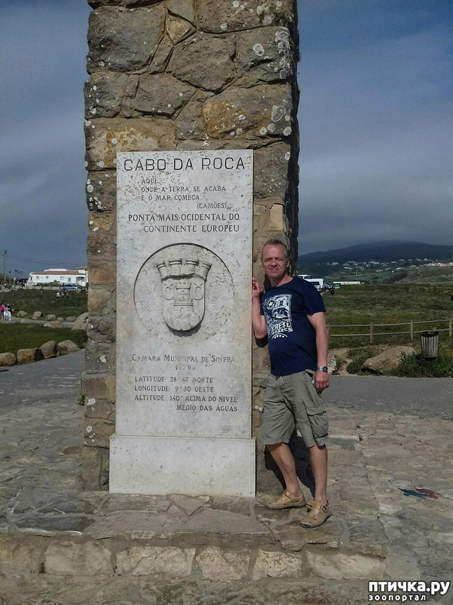 ���� 5: ����������. � ���������� ����!