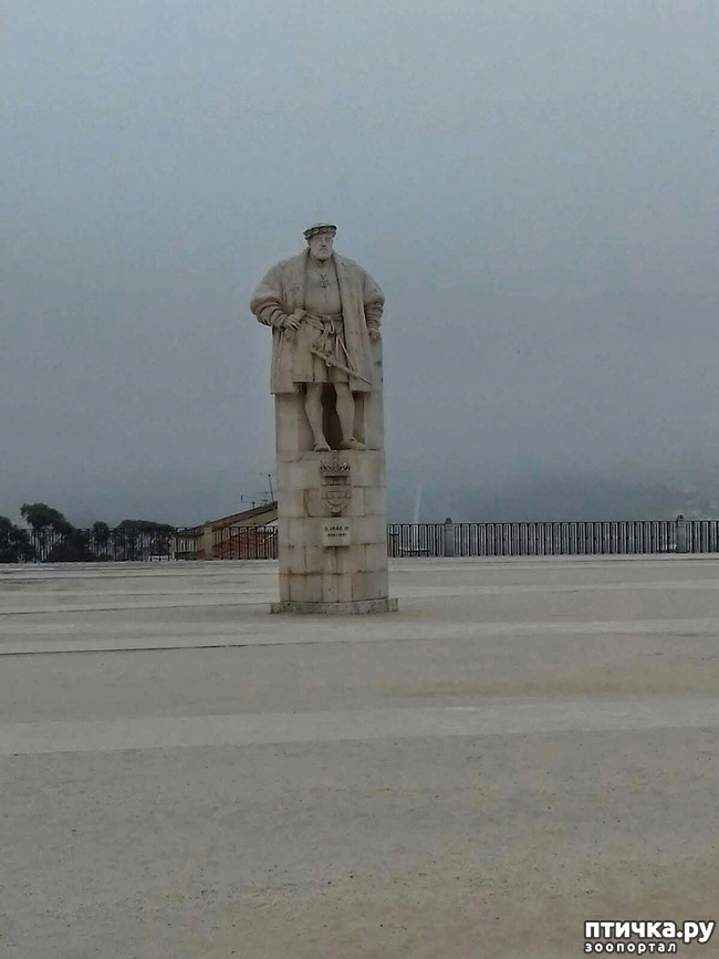 ���� 6: ����������. � ���������� ����!