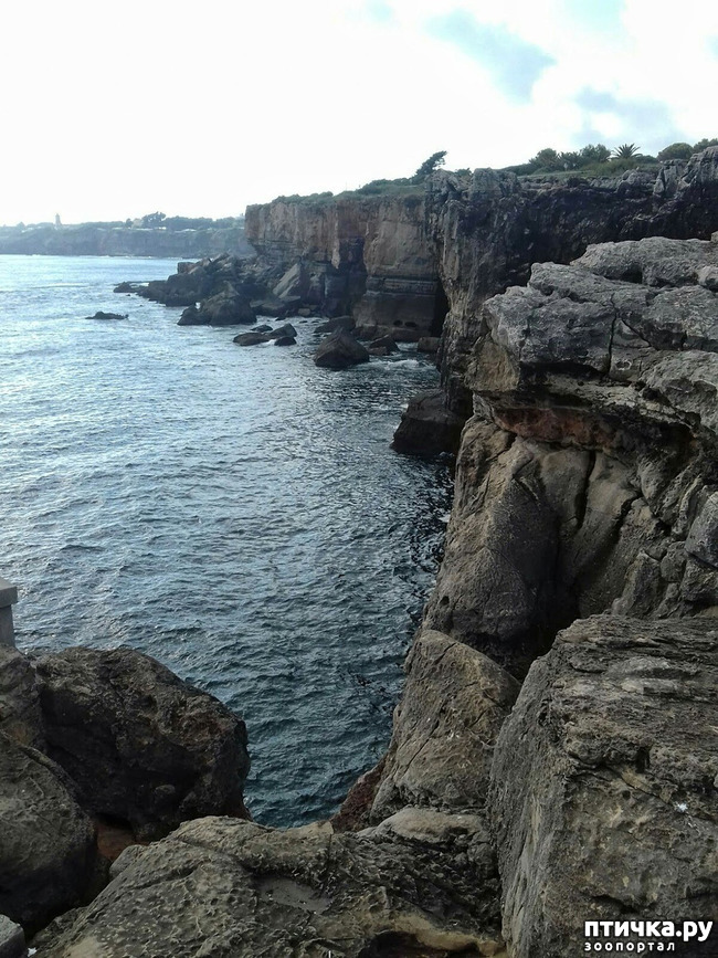 ���� 8: ����������. � ���������� ����!