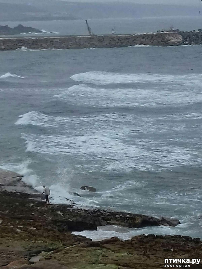 ���� 12: ����������. � ���������� ����!