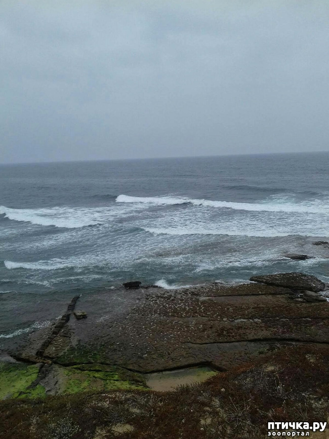 ���� 9: ����������. � ���������� ����!