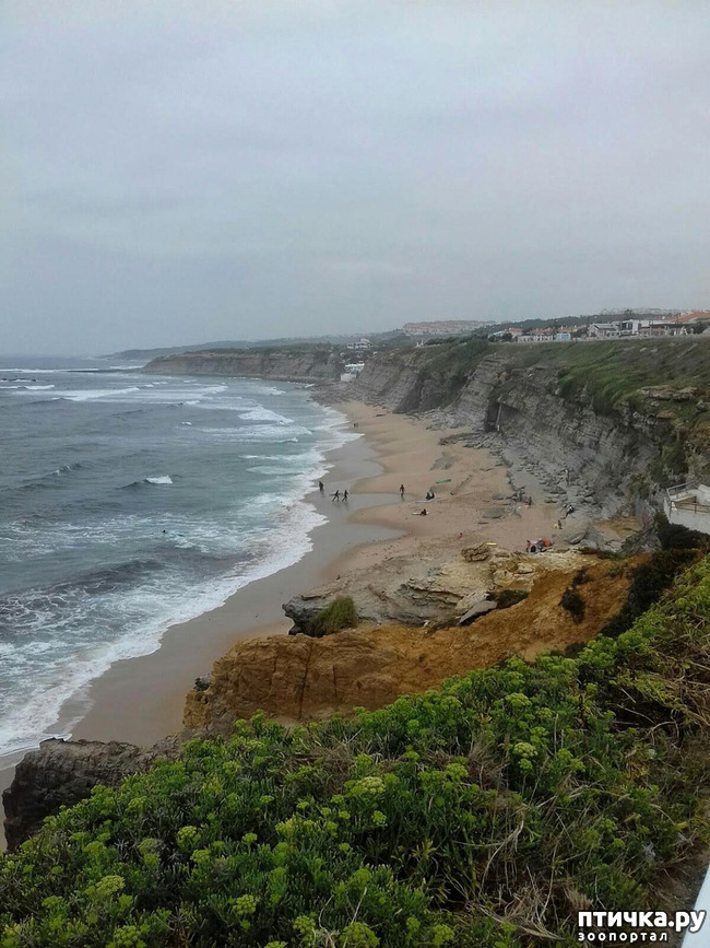 ���� 11: ����������. � ���������� ����!