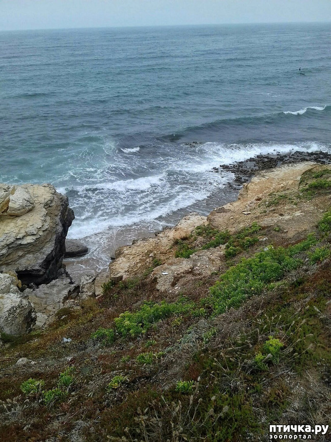 ���� 10: ����������. � ���������� ����!