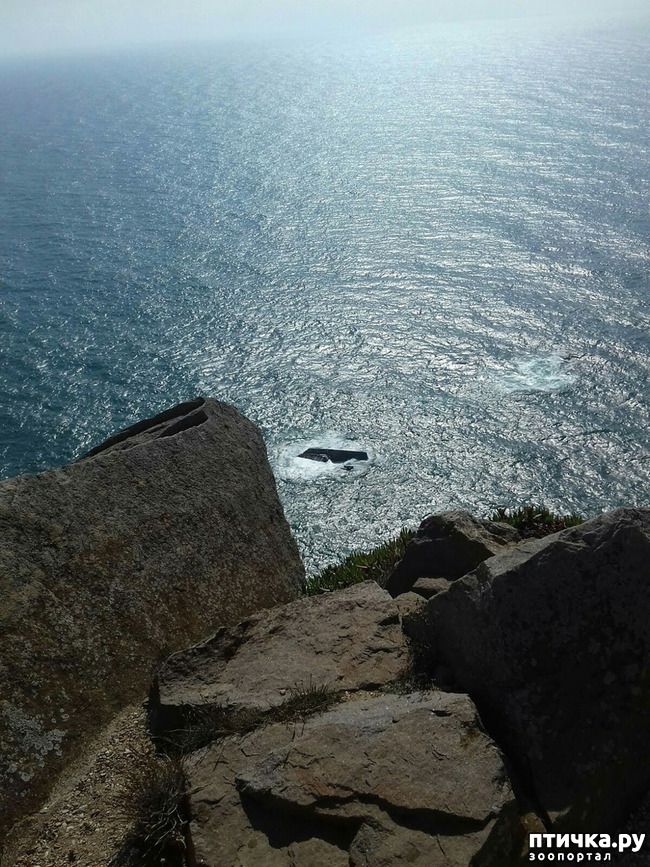 ���� 7: ����������. � ���������� ����!