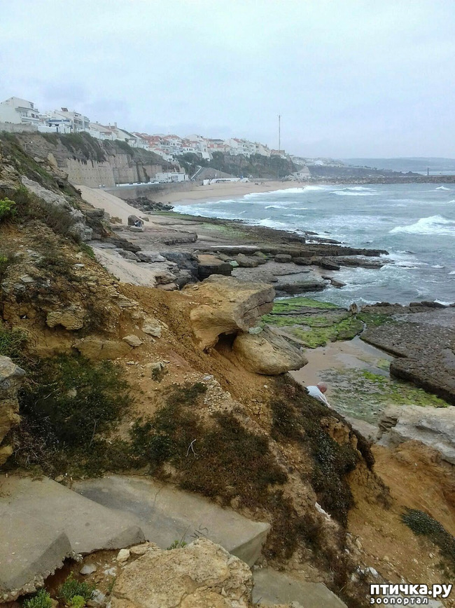 ���� 13: ����������. � ���������� ����!