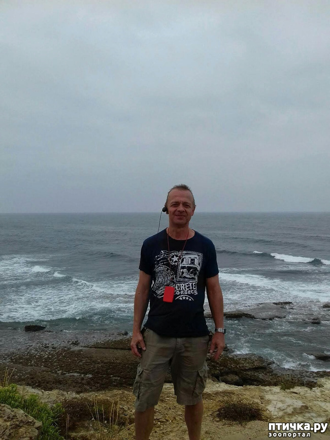 ���� 14: ����������. � ���������� ����!