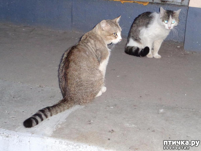 ���� 3: ����� ���������