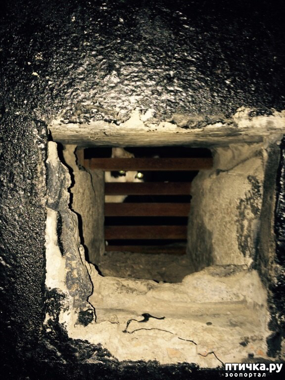 ���� 7: ����� ���������